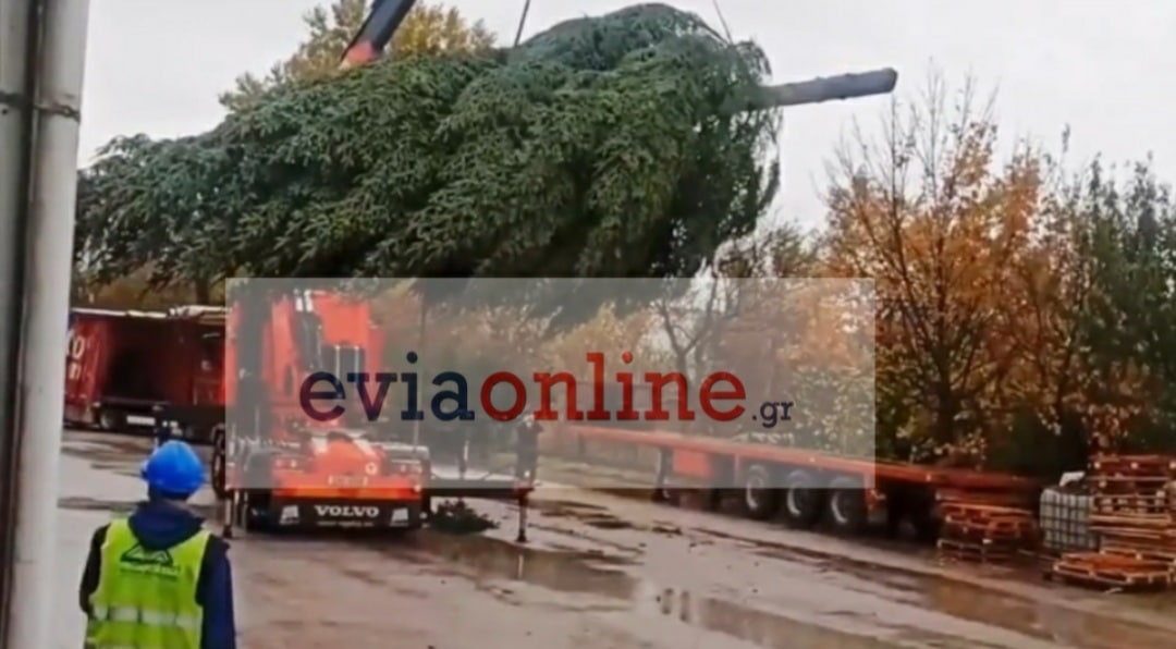 Β. Εύβοια: Πότε θα φωτιστεί το Χριστουγεννιάτικο δέντρο από τα Καρπάθια!