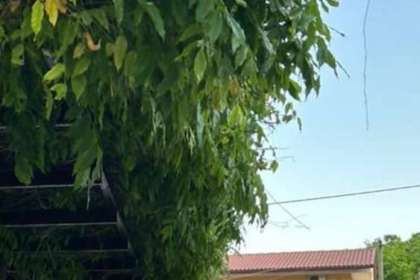 Όσιος Ιωάννης ο Ρώσος - Προκόπι, Εύβοια