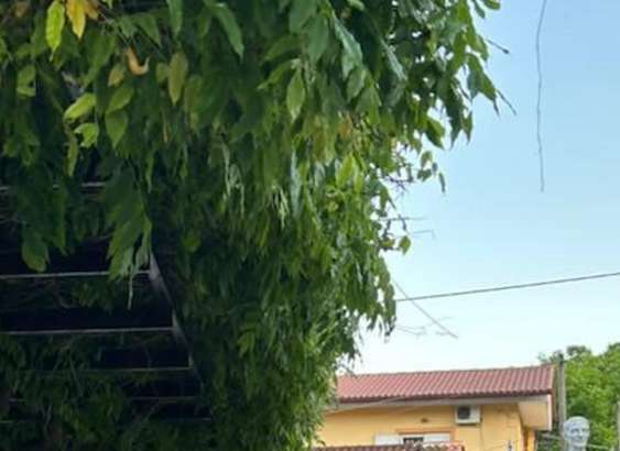 Όσιος Ιωάννης ο Ρώσος - Προκόπι, Εύβοια
